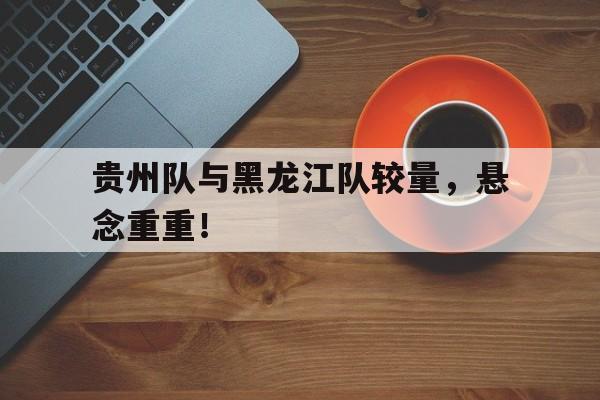 电子竞技2025年-贵州队与黑龙江队较量，悬念重重！